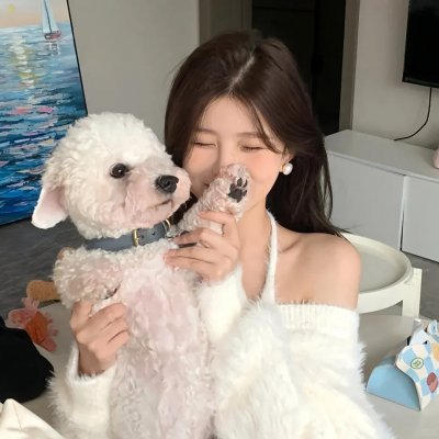 重回校园我赖上高冷校花